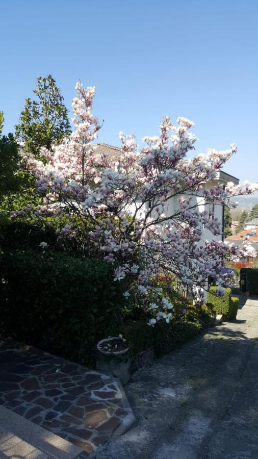Nel Giardino Di Oz Bed and Breakfast Fornovo di Taro Buitenkant foto